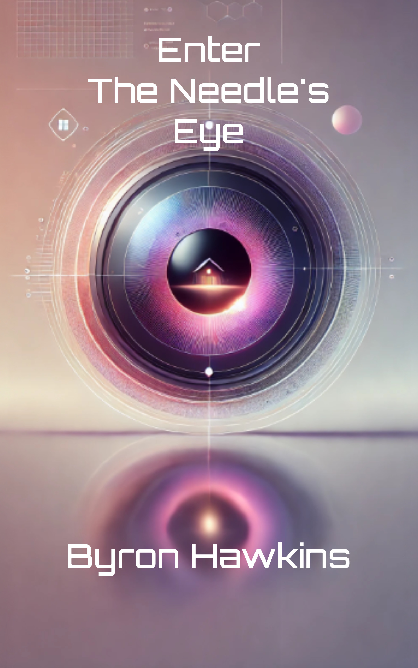 Enter The Needle's Eye Book Cover